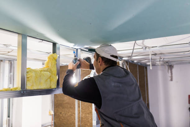 Best Crawl Space Insulation  in Hobbs, NM